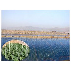 市場上品牌好的灌漿膜在哪里可以找到，灌漿膜圖片