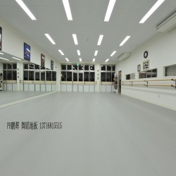 PVC舞蹈專用地膠，PVC專業舞蹈地膠