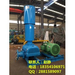 【 污水曝氣風(fēng)機(jī)、污水曝氣鼓風(fēng)機(jī)選型、北京曝氣鼓風(fēng)機(jī)廠家】