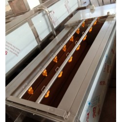 黃桃清洗機，黃桃罐頭加工全套設備